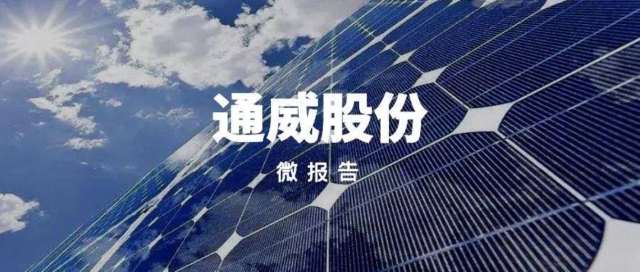 通威股份子公司为保山20万吨高纯晶项目承建单位提供2亿元贷款 利率4.2%