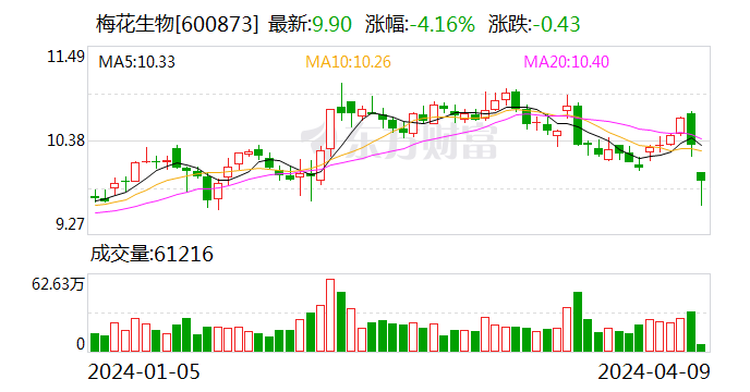 遥望科技：2024一季度付款GMV达45亿元 经营活动现金流净额同比转正