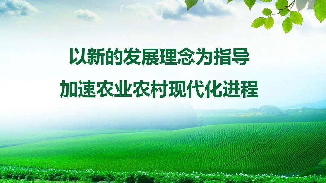 政府工作报告保险关键词：保险护航三大主粮作物 扎实推进乡村全面振兴