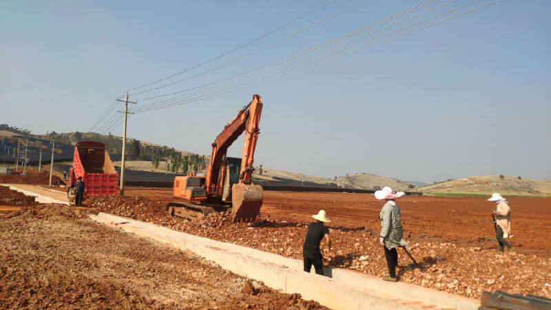 棕榈股份：成功中标保障性租赁住房项目及高标准农田建设项目 合计金额3.69亿元