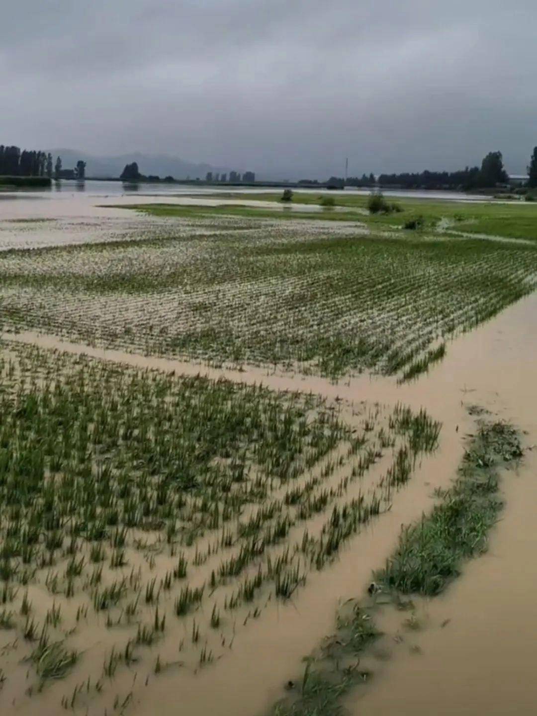 水利部：加快推进现代化雨水情监测预报体系建设