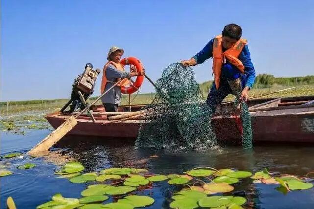 热词里的中国活力｜“新中式游”“仪式感消费”……这个端午假期有点儿东西