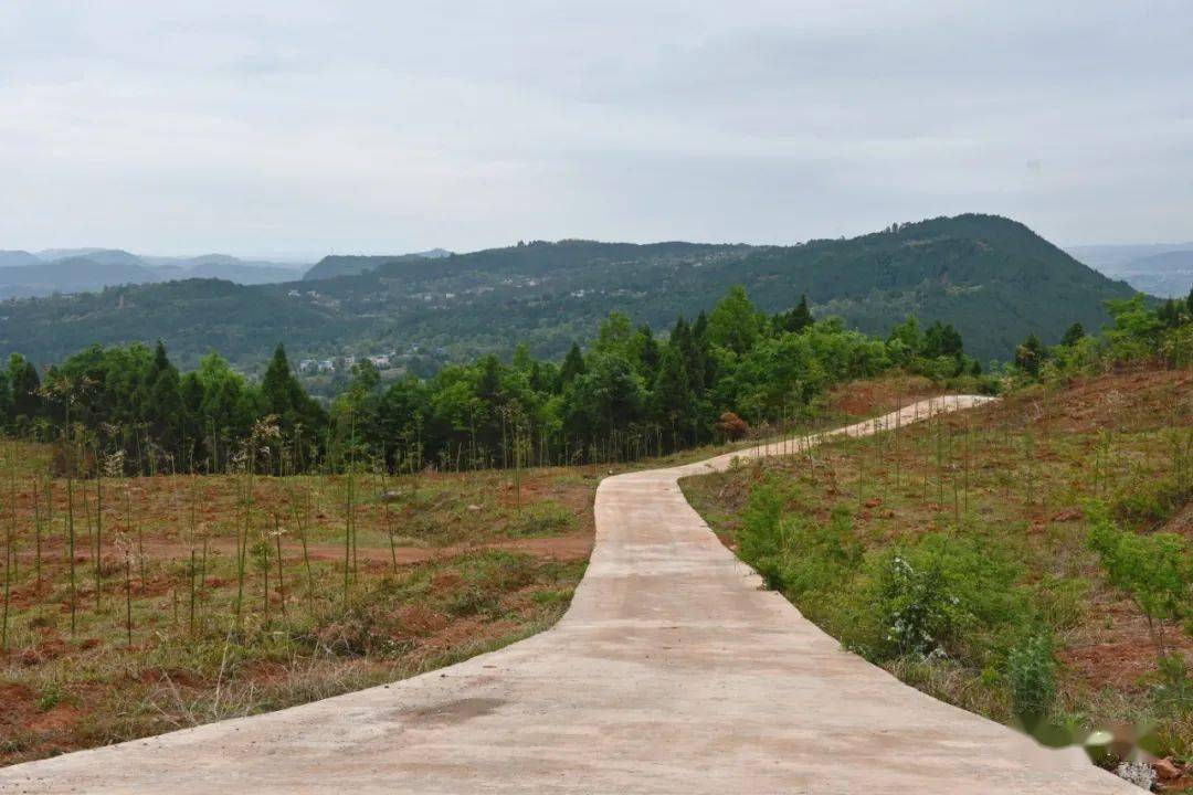 引入保险活水润泽黄土大地 中国太保有力支持甘肃省静宁县乡村振兴