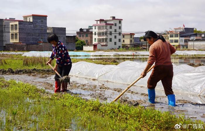 一年之计丨春耕“上新”：新模式让土地焕发新活力