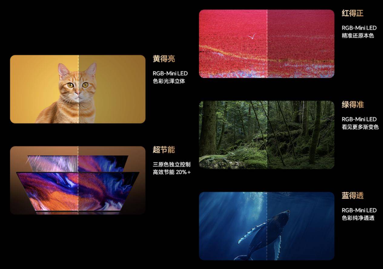 海信视像：公司RGB-Mini LED显示技术获中国电子视像行业协会认证