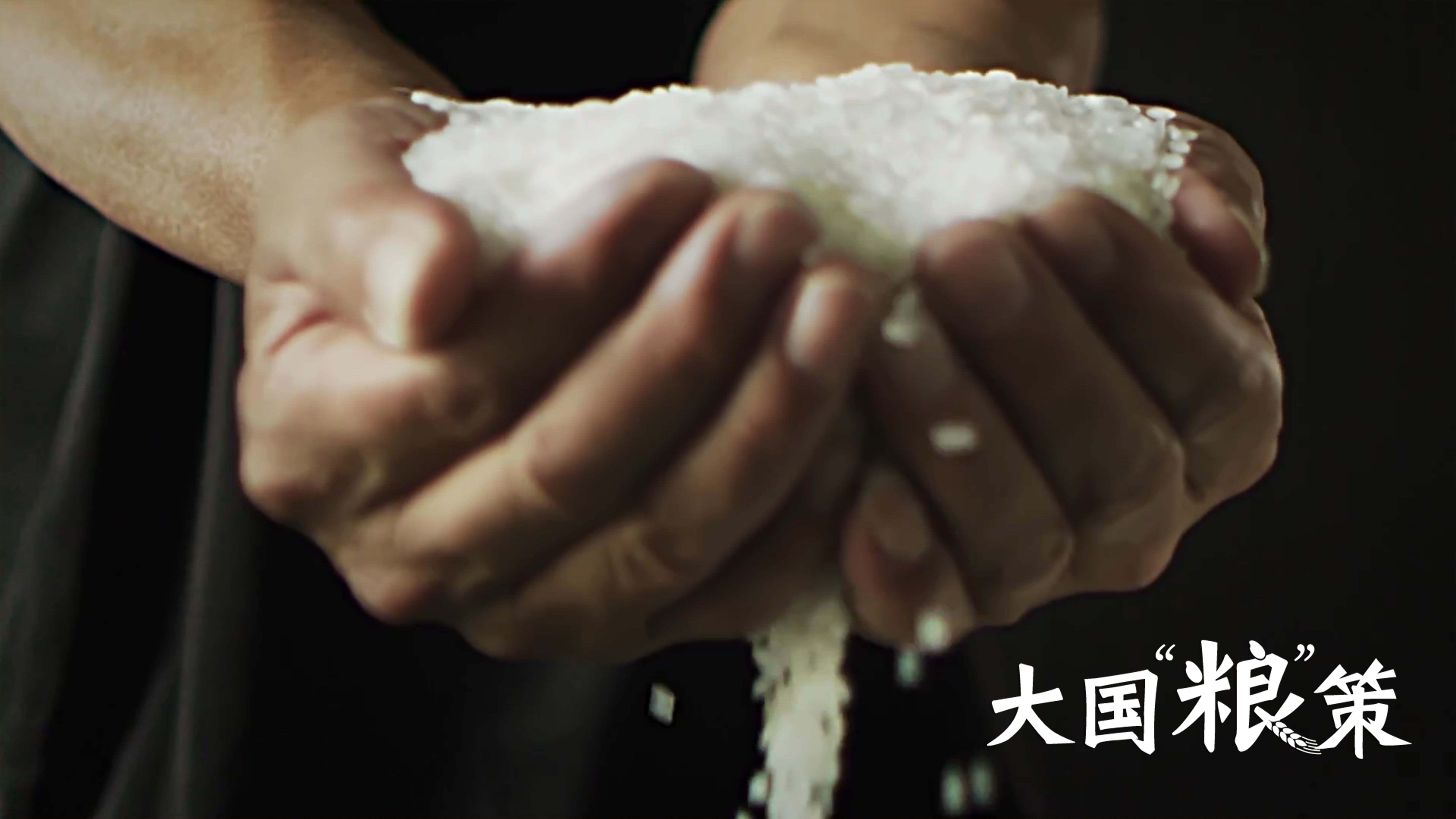 微视频丨粮食安全这件头等大事 总书记始终牵挂