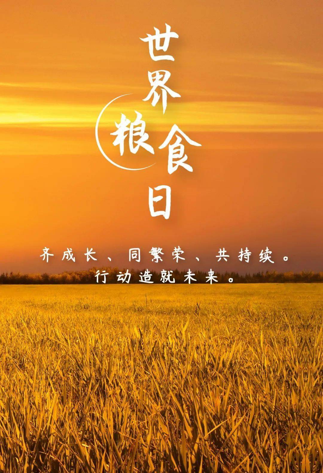 端牢中国饭碗 共护大国粮仓——写在第45个世界粮食日到来之际