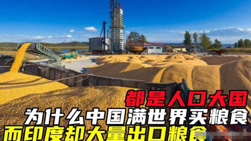 第一观察｜维护世界粮食安全的中国行动