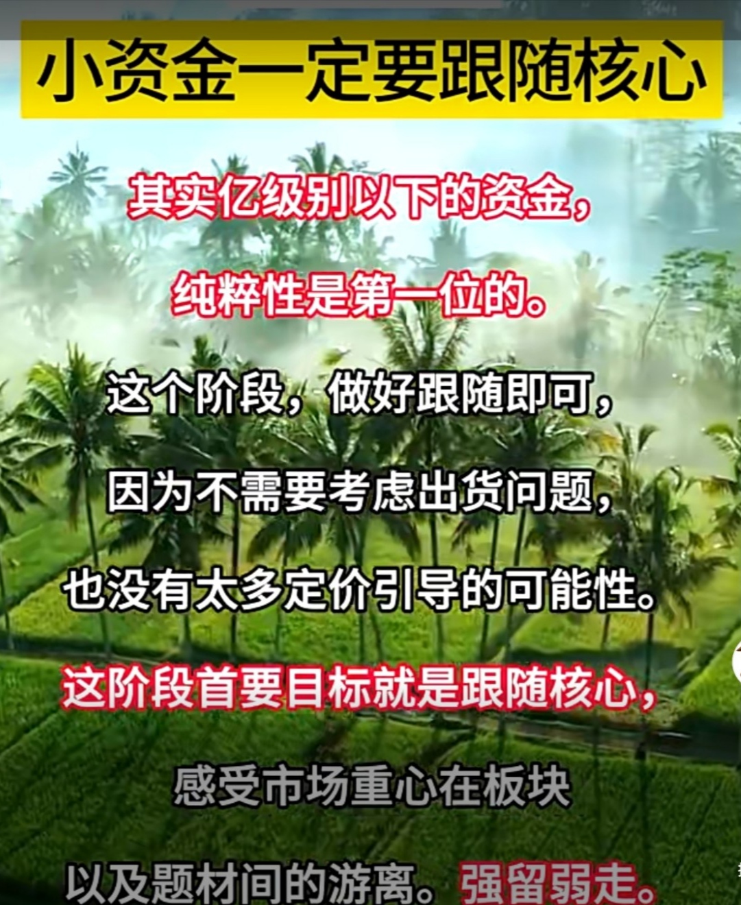 玄学炒股侵蚀价值投资