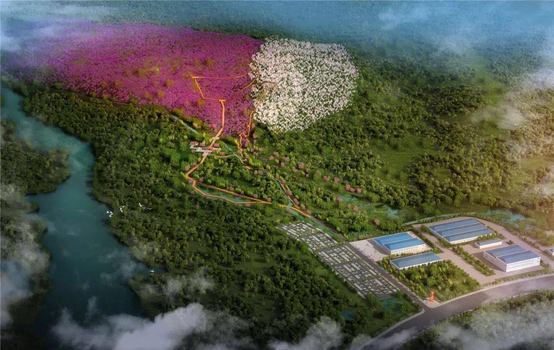 万孚生物:前三季度营收16.90亿元 海外布局提速