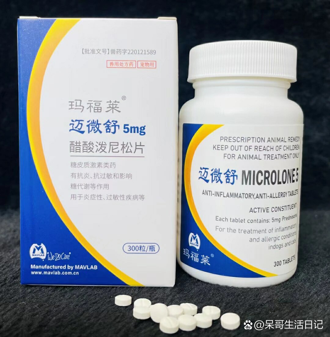 迈信林：拟共同设立追光时代并筹划向光子算数增资