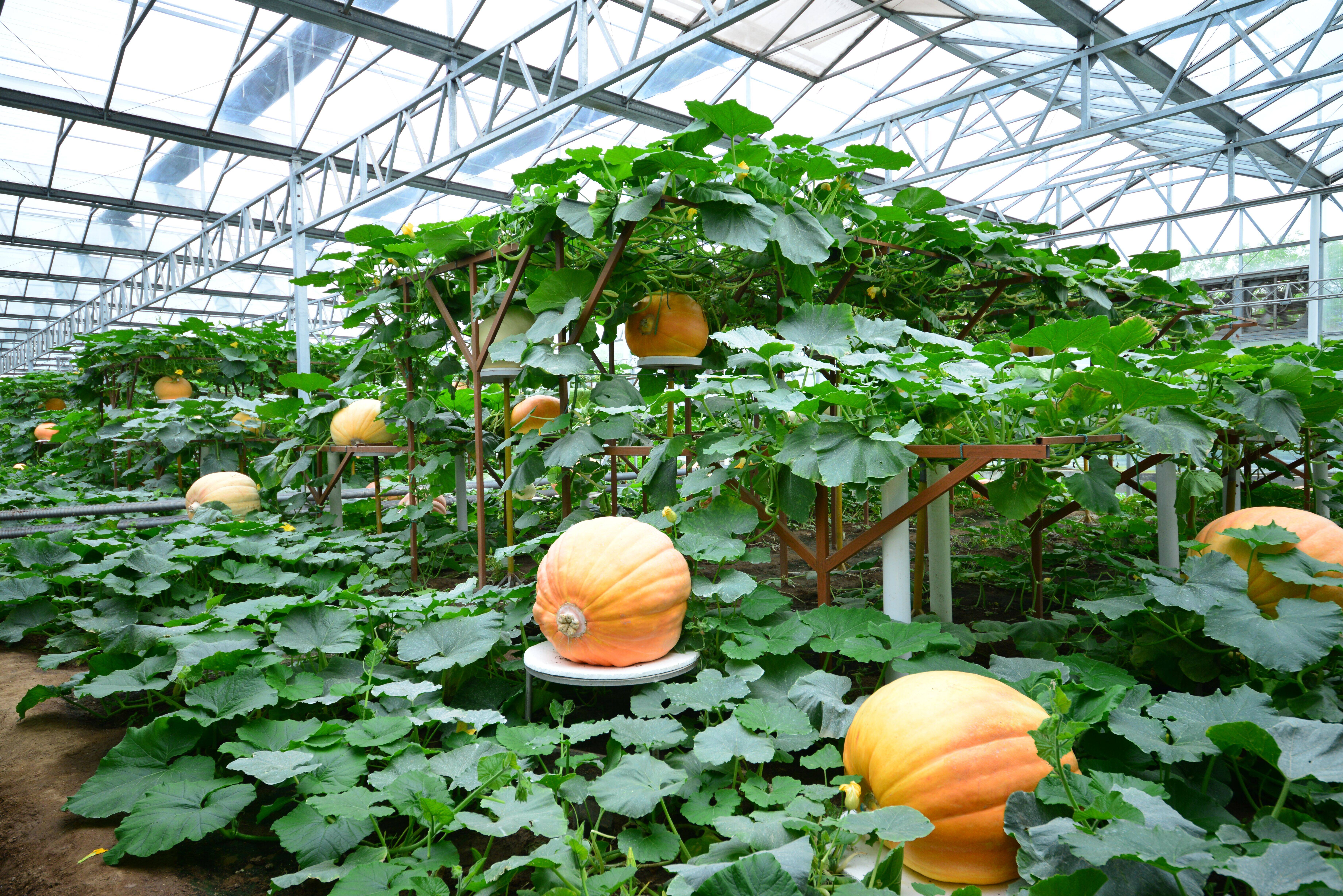 商务部：欢迎更多国家和国际组织加入和支持《绿色矿产国际经贸合作倡议》