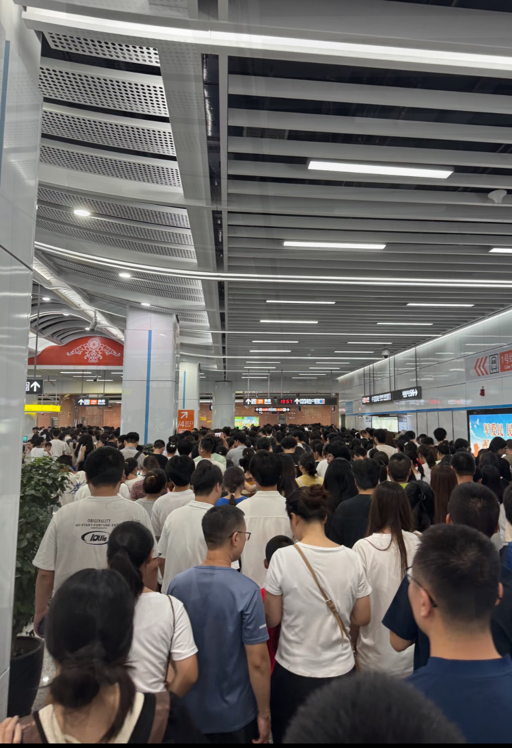 香港春节假期人气旺 超百万人次旅客访港