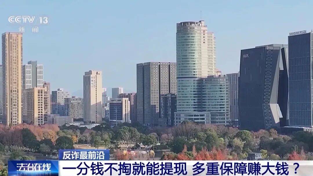 揭秘节日化理财骗局：假App、假导师与真损失