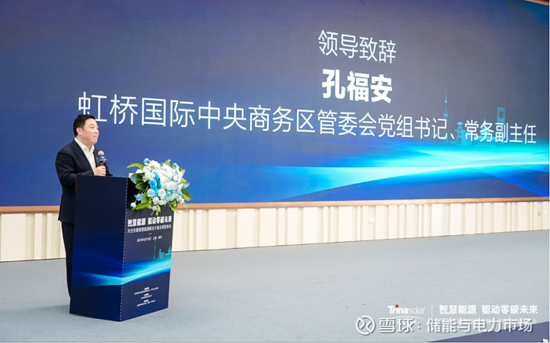 全国人大代表、天合光能董事长高纪凡建议：强化光伏行业知识产权保护