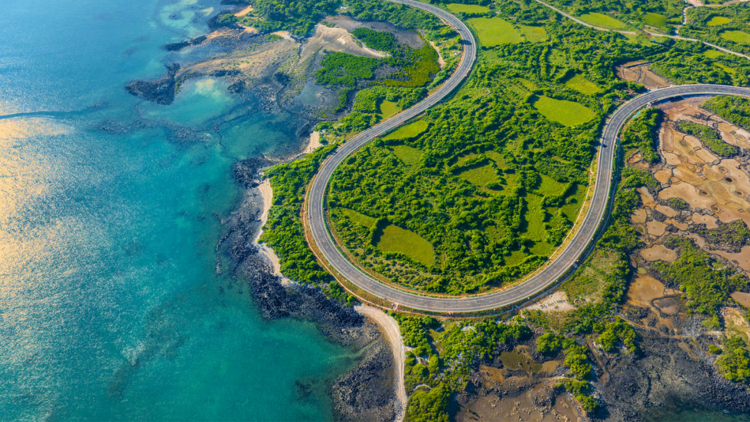 会外看会丨这些提法，“点”绿美丽中国新图景