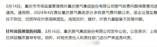 重庆燃气回应“收费异常再被通报”：尽快完成整改并追责问责