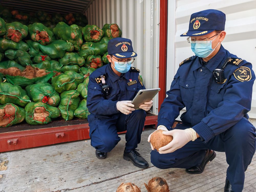 镜头微观察｜海南自贸港：提升口岸通关效率 助力高水平开放