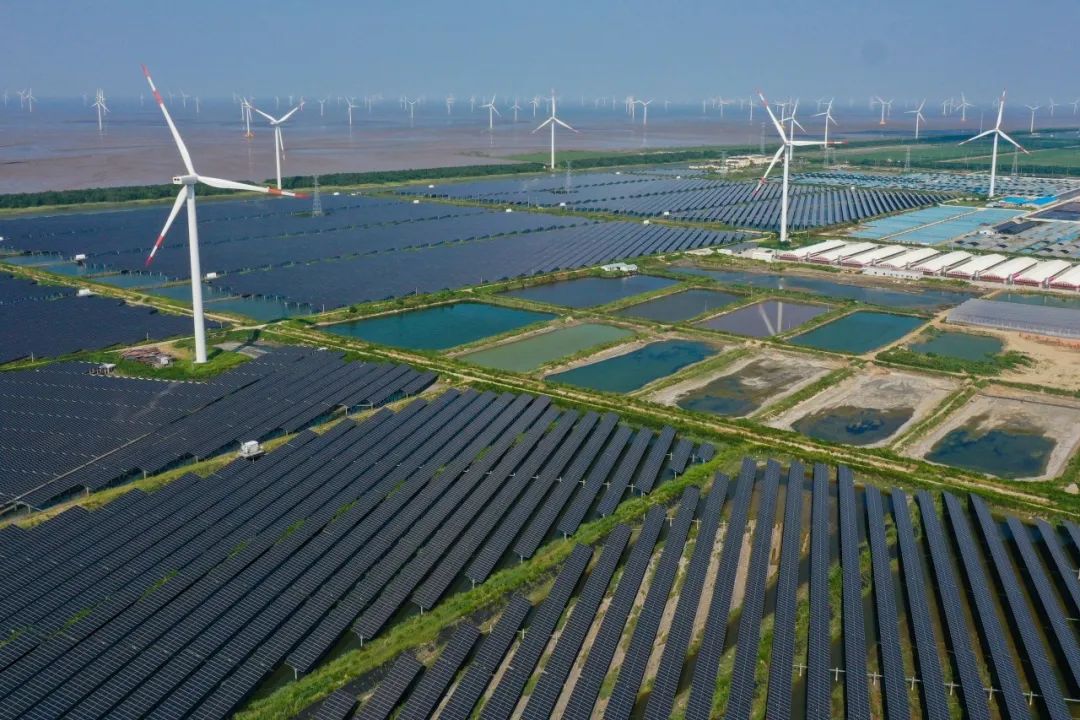 通威股份终止50亿控股润阳股份 2024年预亏70至75亿