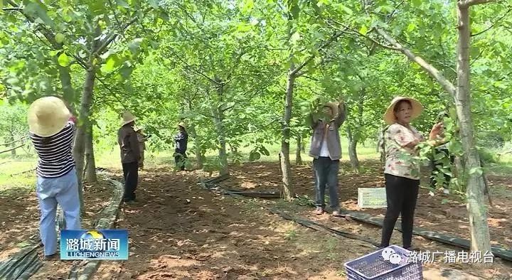 蔚能成功发行银行间首单民企绿色科技创新资产支持证券