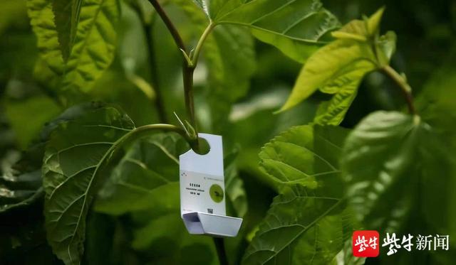 蔚能成功发行银行间首单民企绿色科技创新资产支持证券