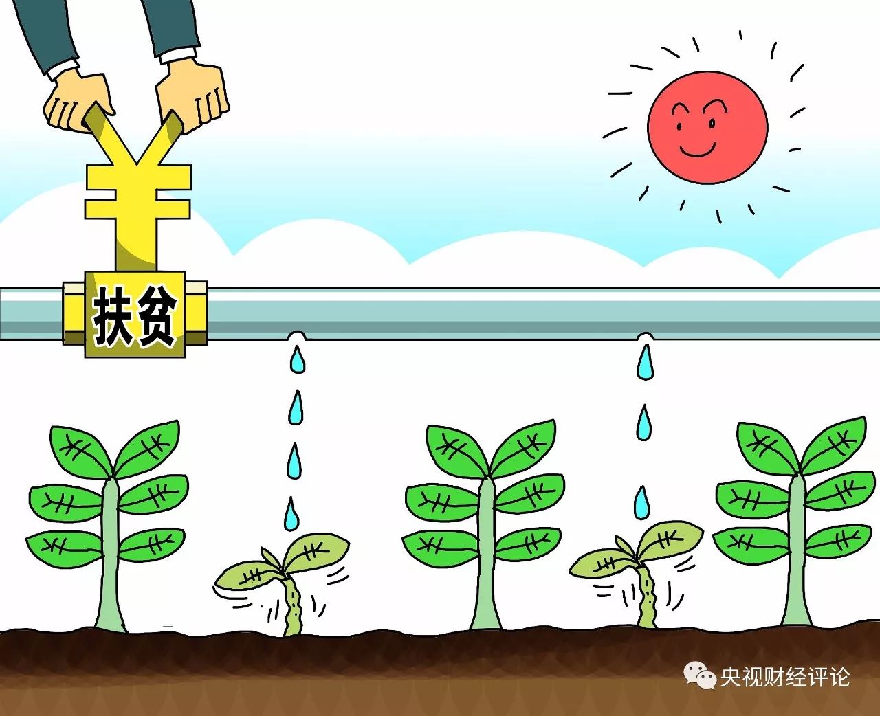 财经聚焦|从田间到餐桌，夏粮收储加工一线追踪