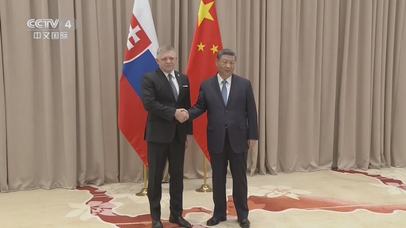 习近平会见新加坡总理黄循财