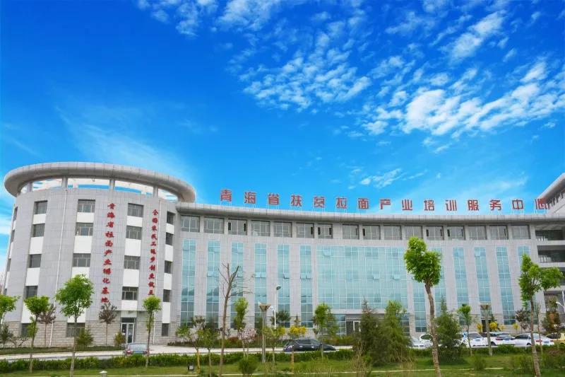 探访中复神鹰青海生产基地：一根碳纤维里的创新密码
