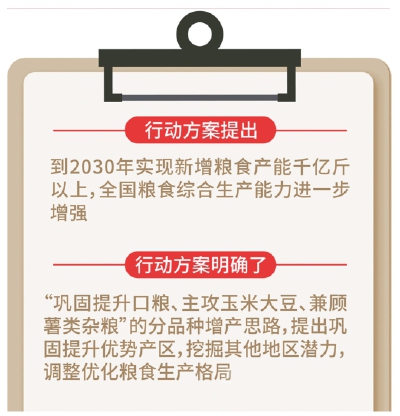 我国3年共减少粮食损失超500亿斤