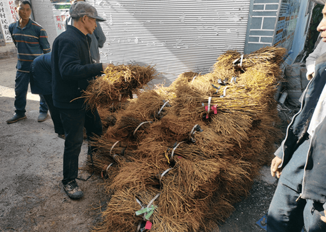 上海技术交易所总裁颜明峰：强化技术要素市场建设 助力科技成果转化提质增效