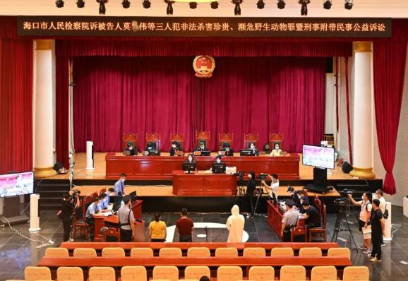 ST华闻：尚未收到海口中院正式受理重整裁定书