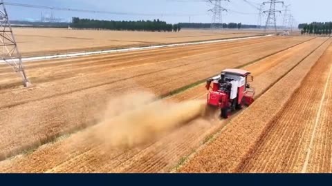 国家发展改革委：夏收进程总体顺利 实现全年粮食生产目标任务有保障