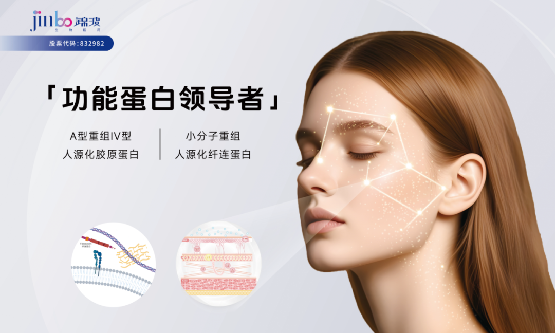 锦波生物：2025年上半年营收同比增长超40%