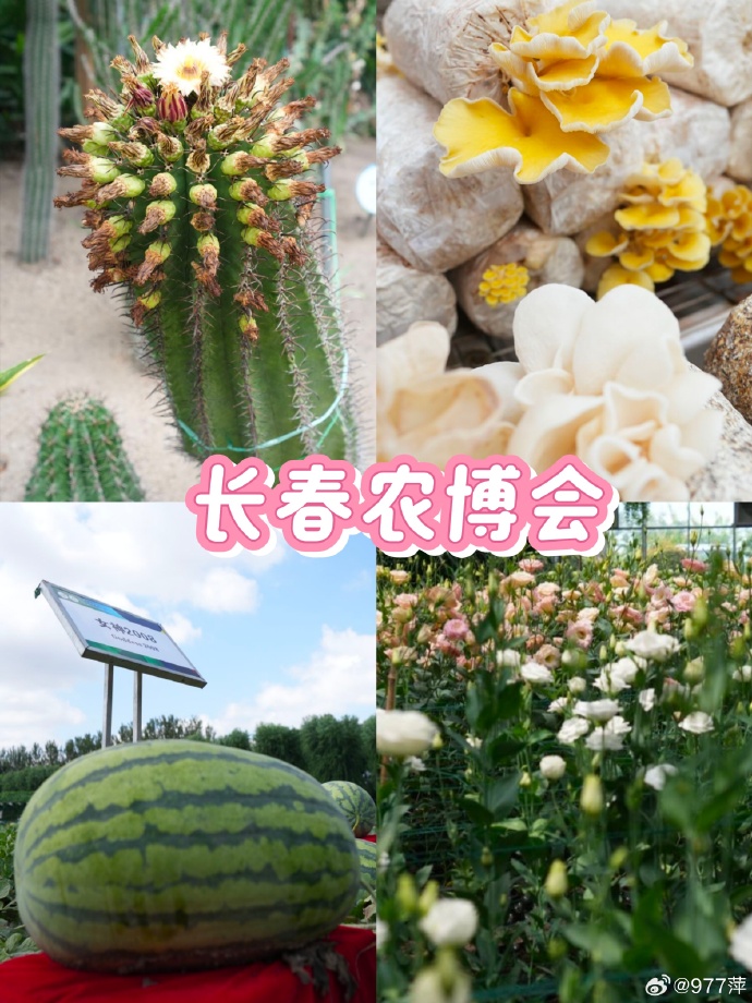 第二十四届长春农博会聚焦“四个农业”