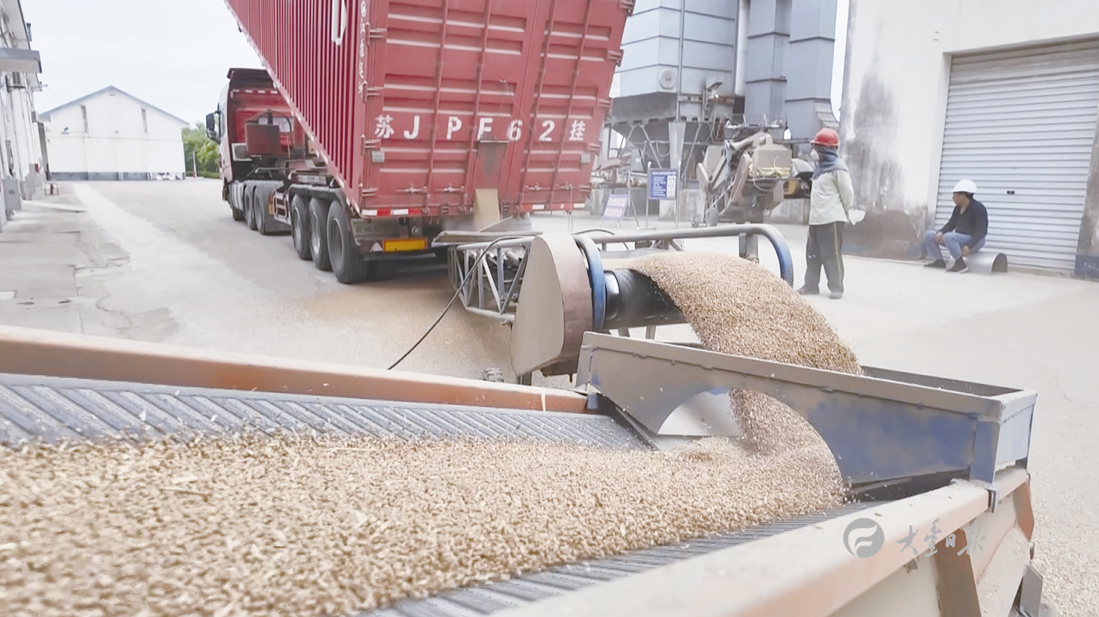国家粮食和物资储备局：夏粮旺季收购进入高峰 收购量处于近年同期较高水平