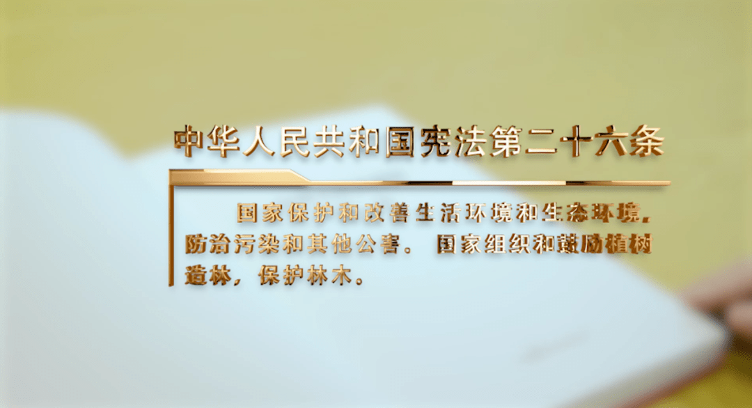 助力“金融向绿” 券商ESG战略赋能“绿水青山”