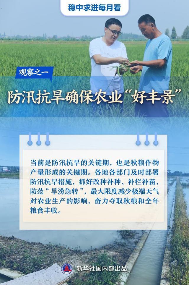 中国经济样本观察·县域样本篇丨小小油菜花何以“绽放”近百亿元产业？