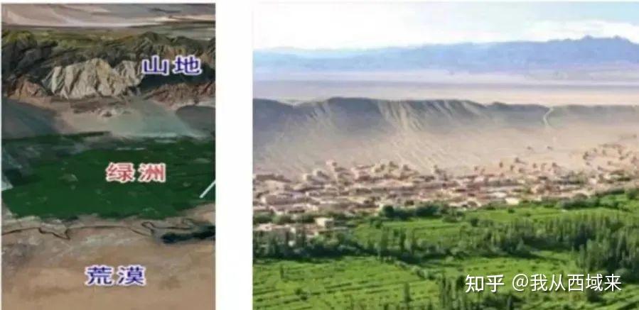多国专家齐聚新疆共商盐碱地治理