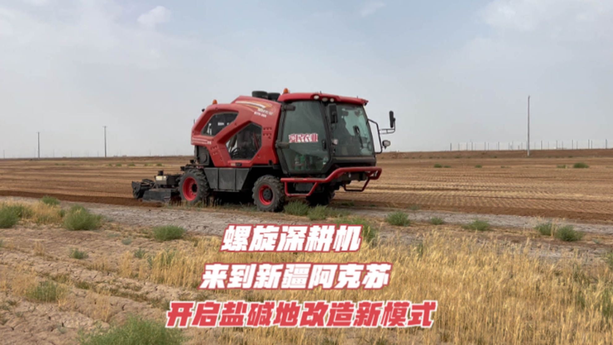 多国专家齐聚新疆共商盐碱地治理