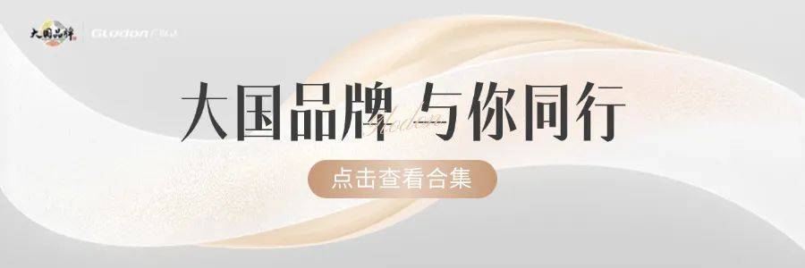 香港特首率团访问中东首携内地企业，双登集团借力政企合作出海抢占全球市场先机
