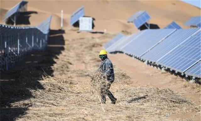 险资活水入青海、光伏羊群育生机 中国人寿保险投资服务托起民生福祉