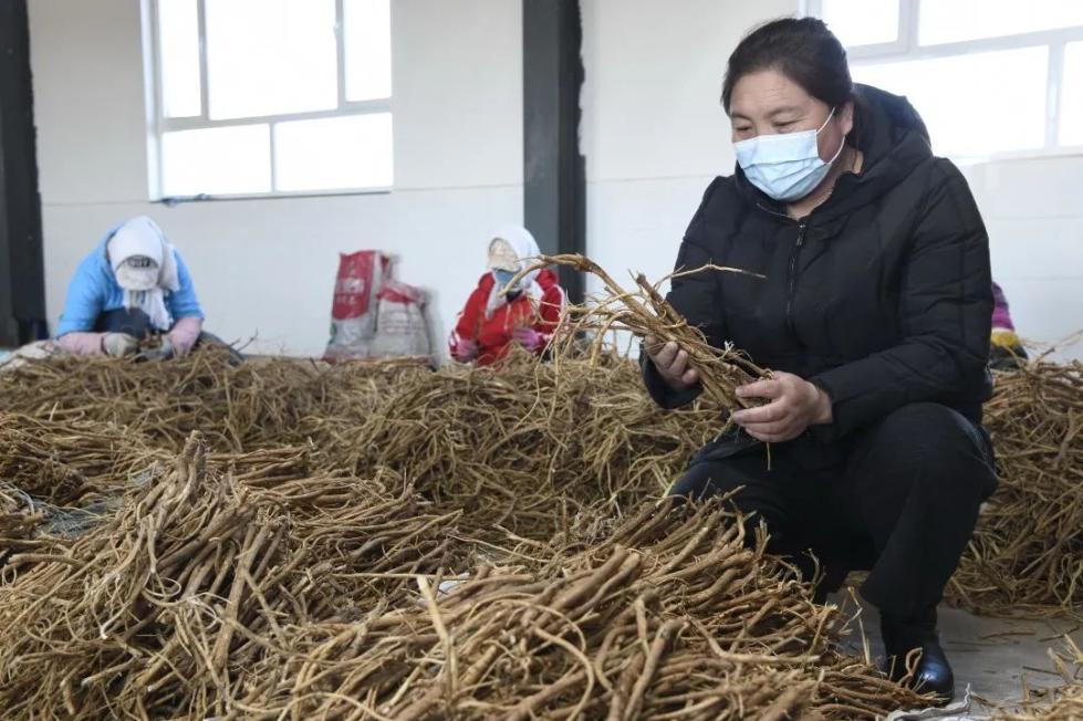 和总书记面对面｜情暖天山 建功奋进