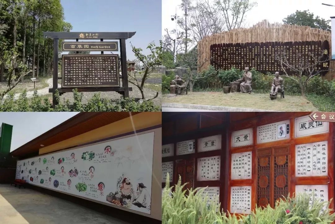 “我是股东”活动走进倍轻松 “中医×科技”解锁智能康养新范式