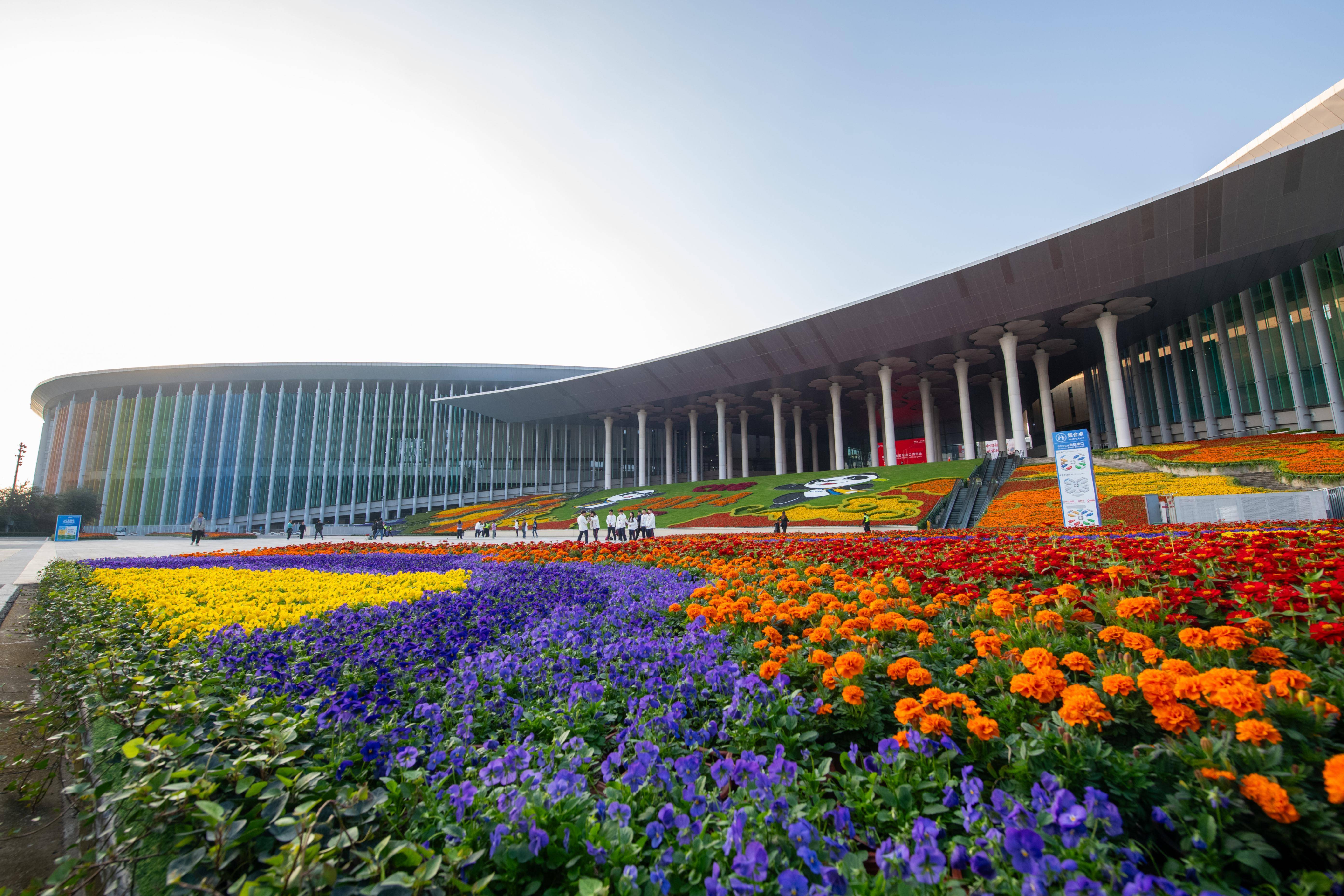 第八届进博会|香港贸发局:“创新科技”和“出海”成为港企参展进博会关键词