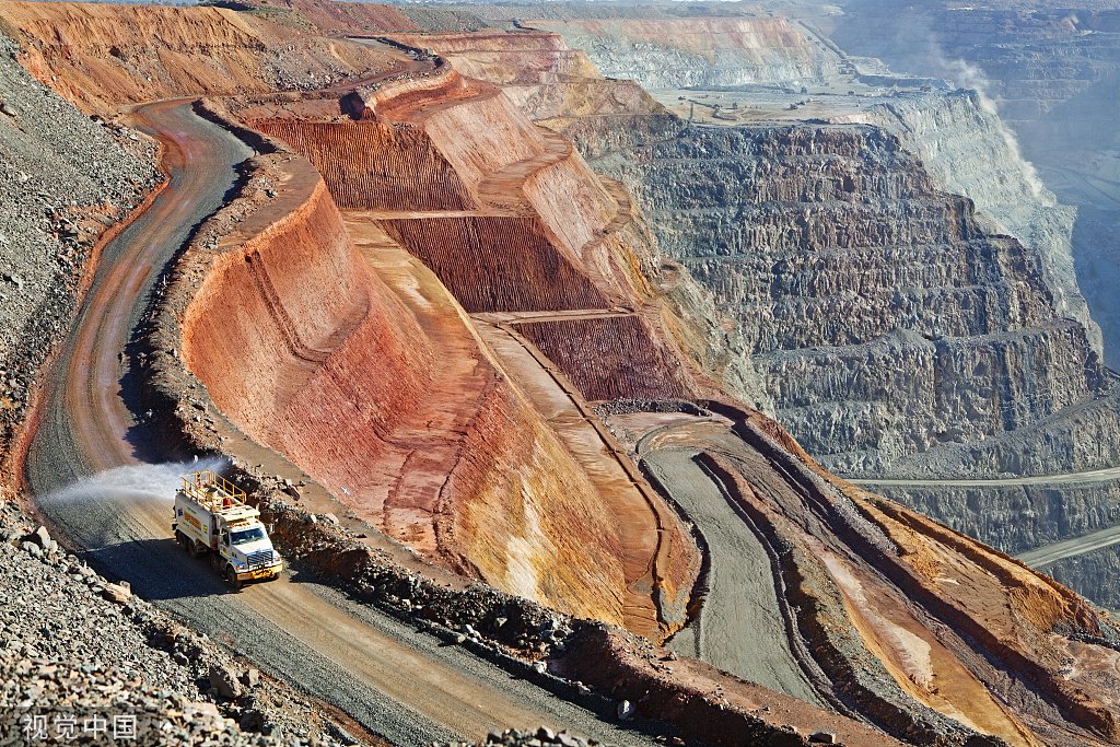 我科学家首次在植物中发现稀土成矿