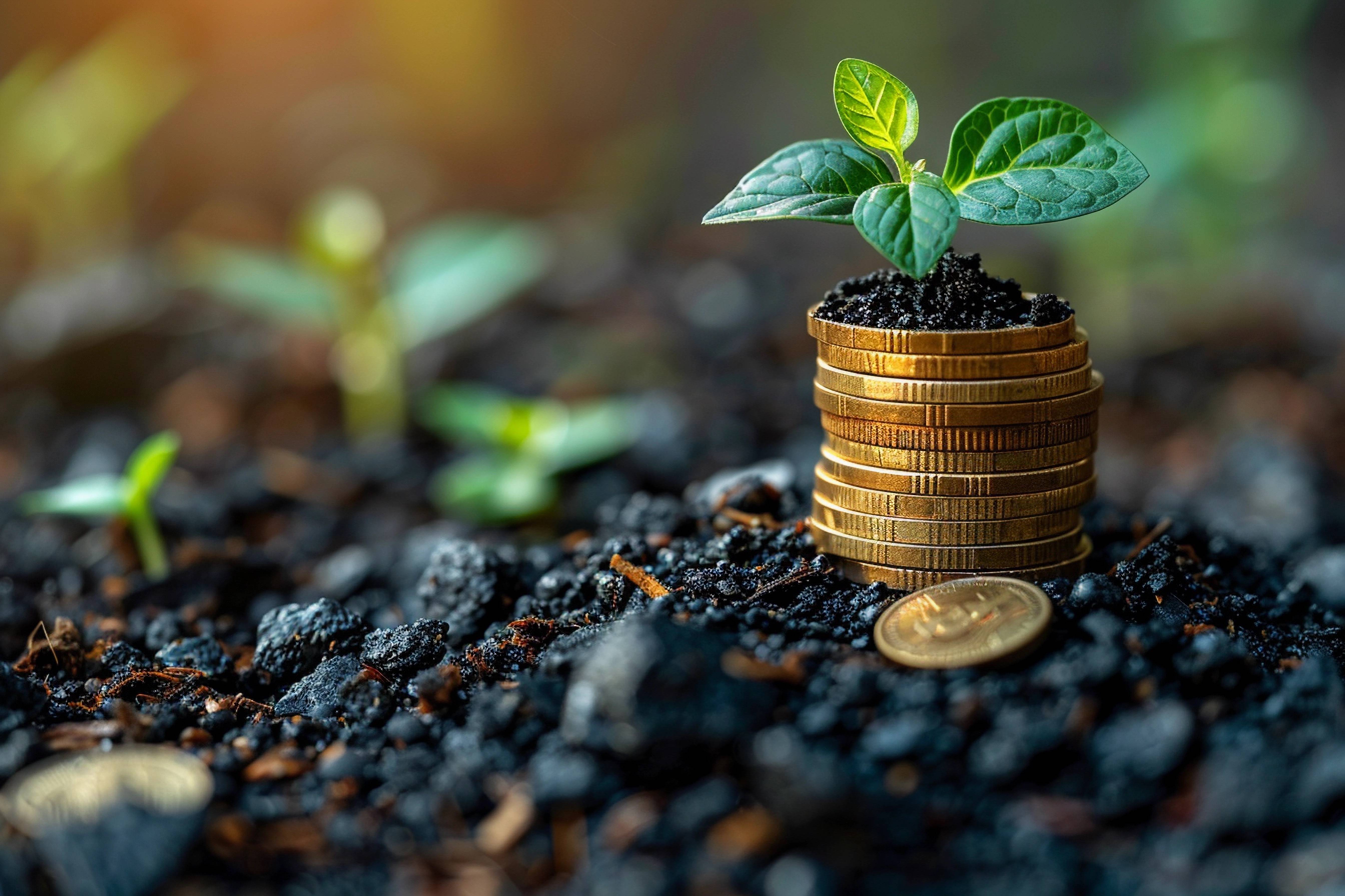 券商出海提速 国际业务成必争之地