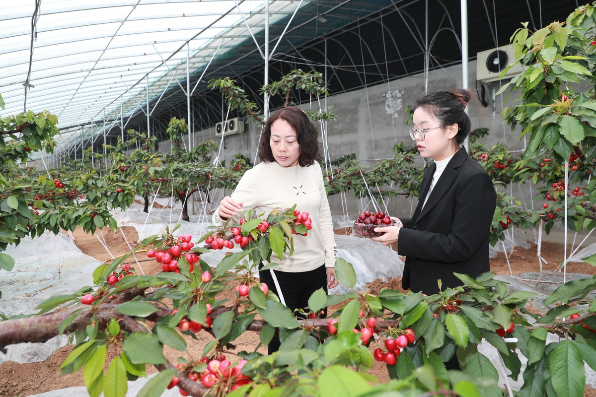 从中部农博会看普惠金融助农惠农新实践