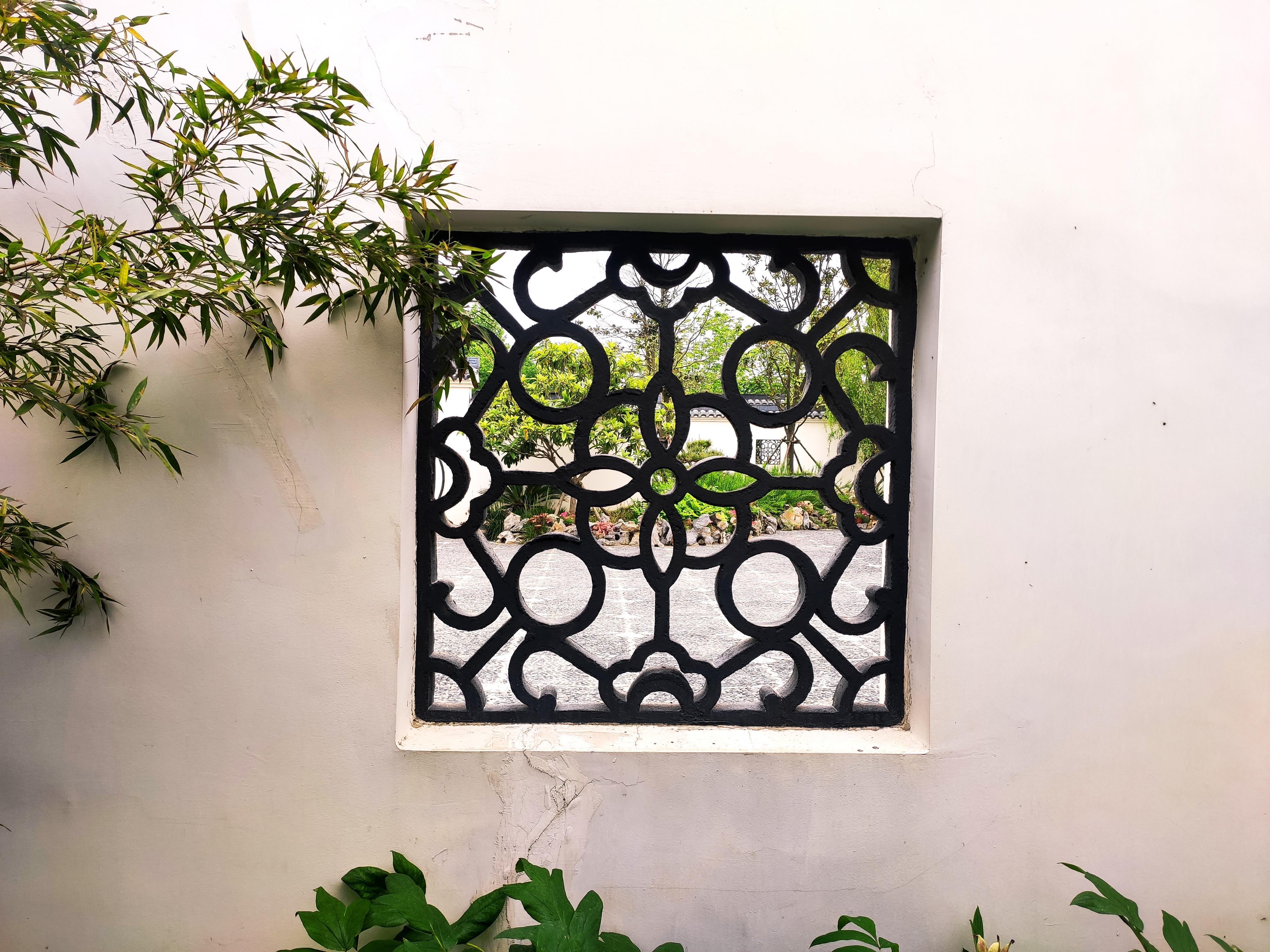 为让植物学家“乐道而不安贫”，植物医生向吴征镒科学基金会再捐150万元