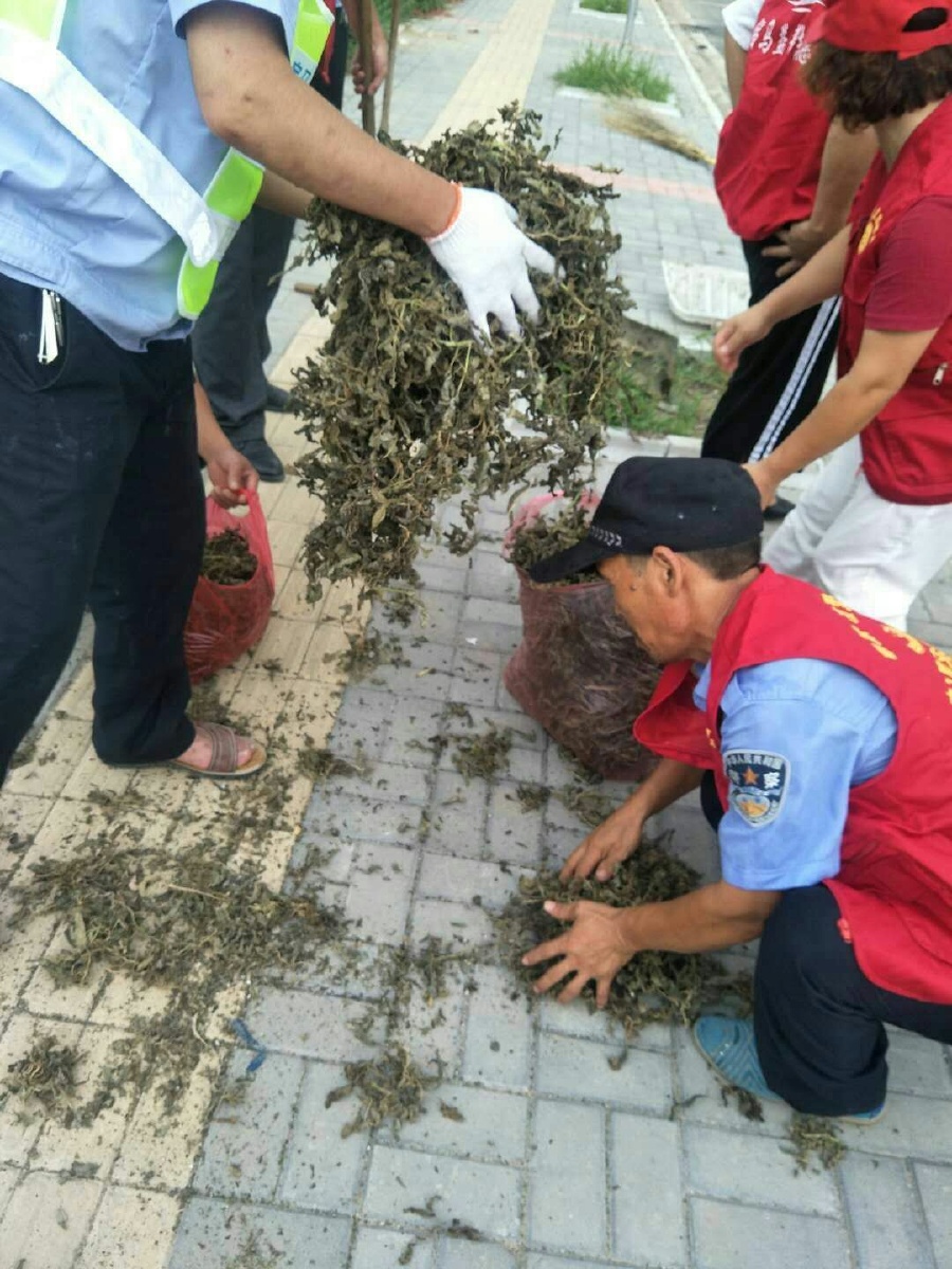 为让植物学家“乐道而不安贫”，植物医生向吴征镒科学基金会再捐150万元