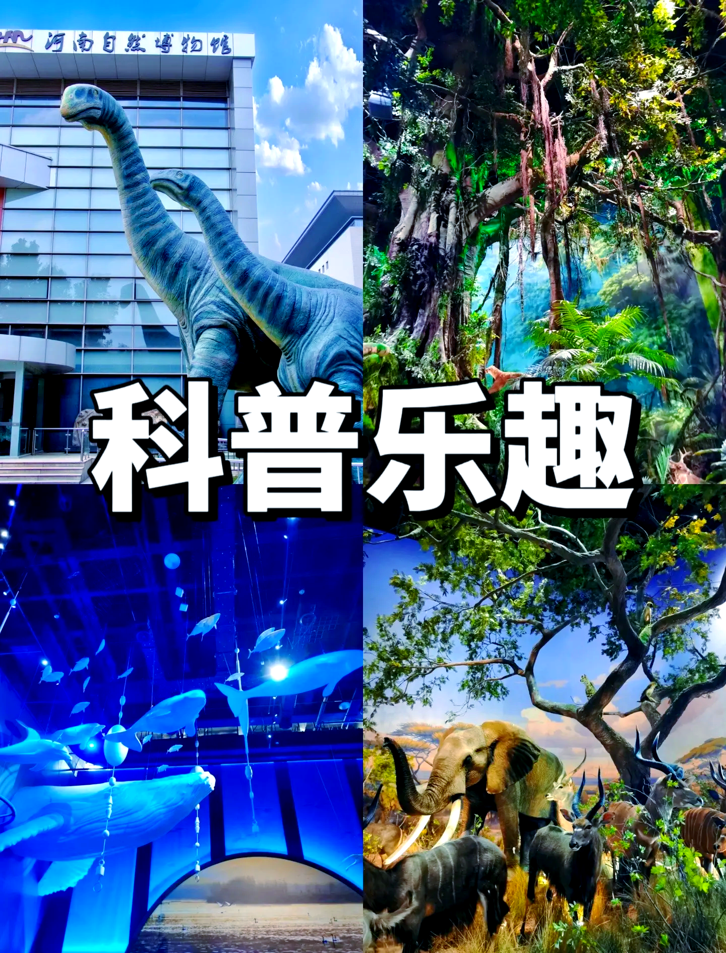 河南景区1元午餐引热议 现存景区相关企业超48万家